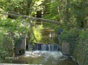 Vácrátót Botanikus kert V.