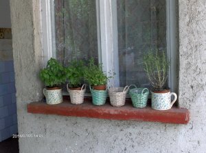 Fűszerkert a nyári konyha ablakában