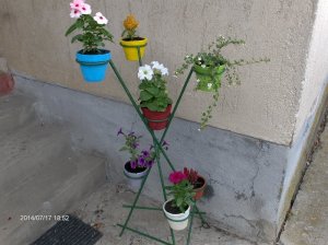 Találtam egy virágtartót...